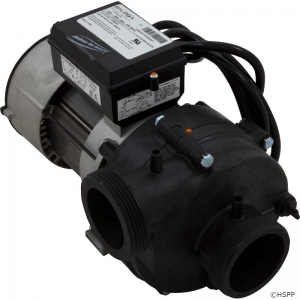 Pump, BWG Vico Ultimax GE, 3.0hp, 6A, 230v, 2"mbt, OEM