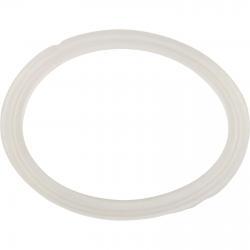 Gasket, Flat, Waterway Poly Storm Jet